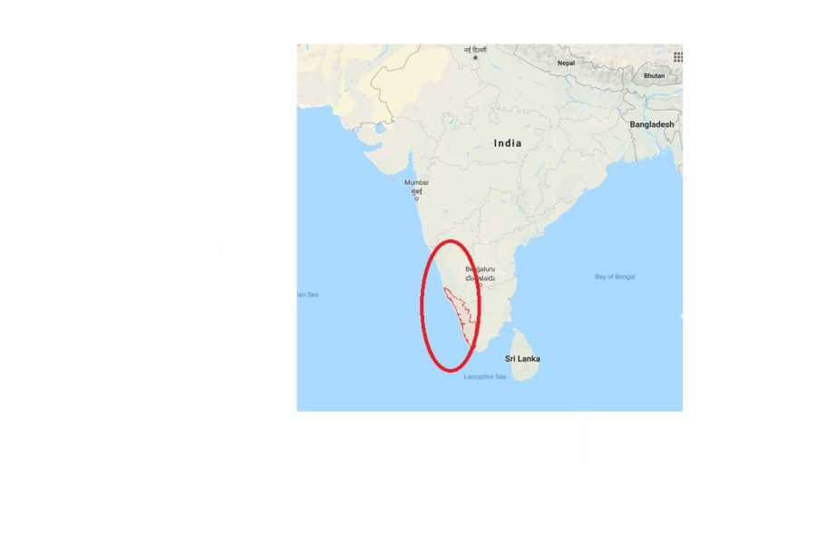 アーユルヴェーダの聖地、南インドのケララとは？