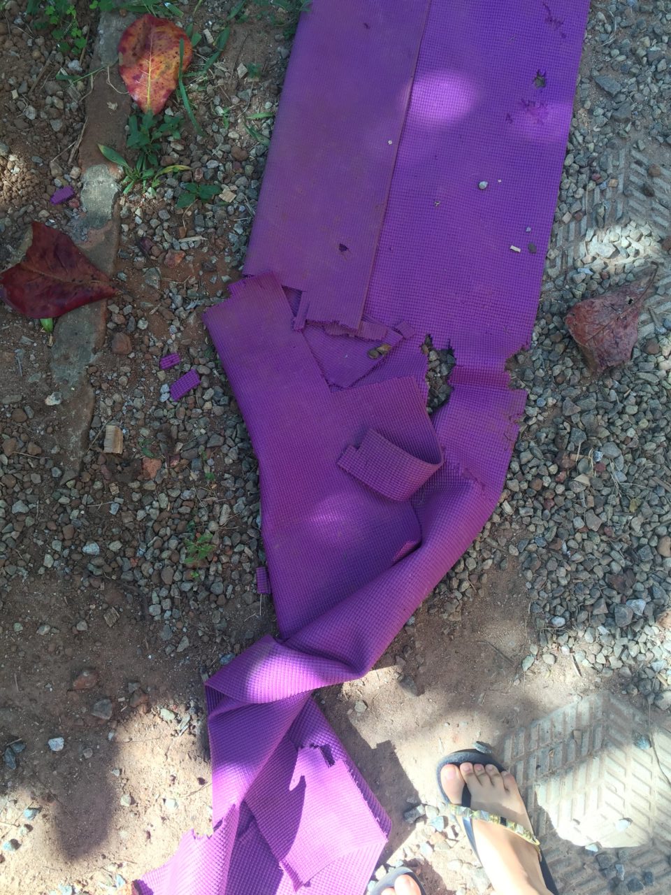 野犬に噛まれたヨガマット