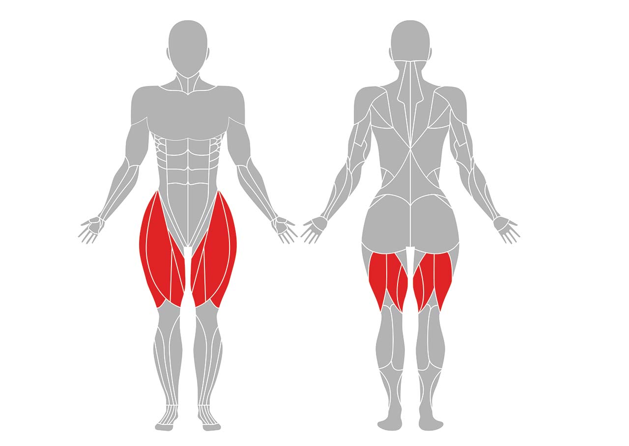 長座前屈の効果のある筋肉
