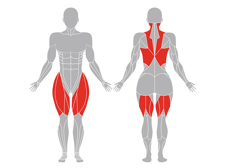 捻った体側を伸ばすポーズの効果のある筋肉