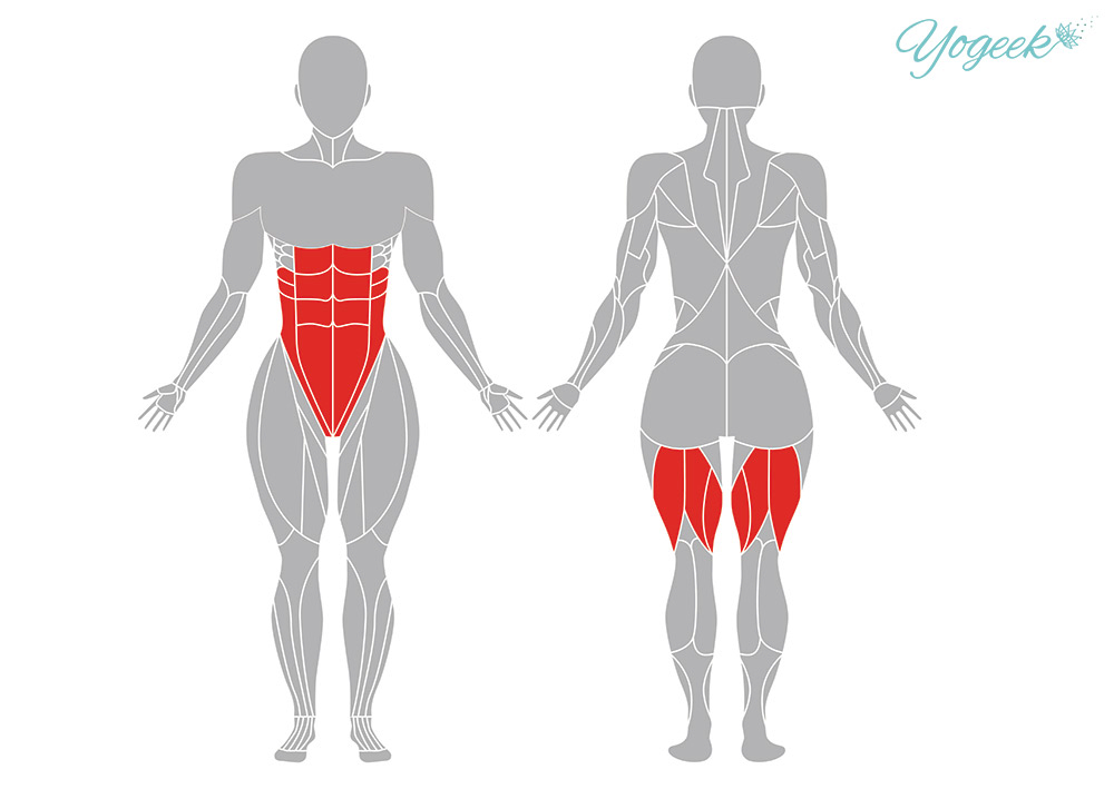 パールシュヴォッタナーサナ （体側を強く伸ばすポーズ ）の効果のある筋肉部位