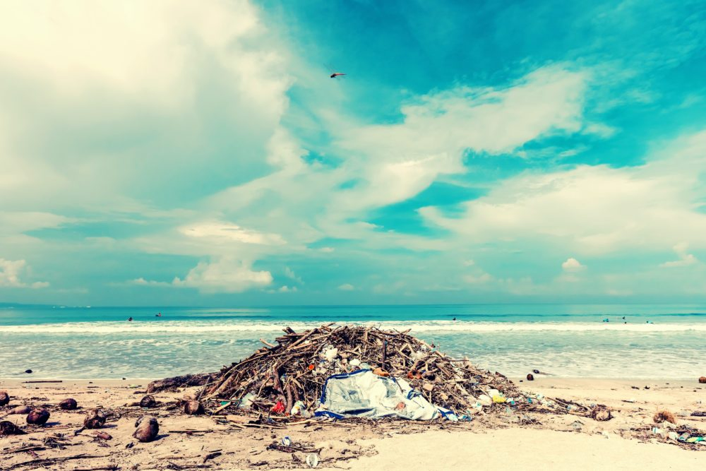 海辺のプラスチックゴミ