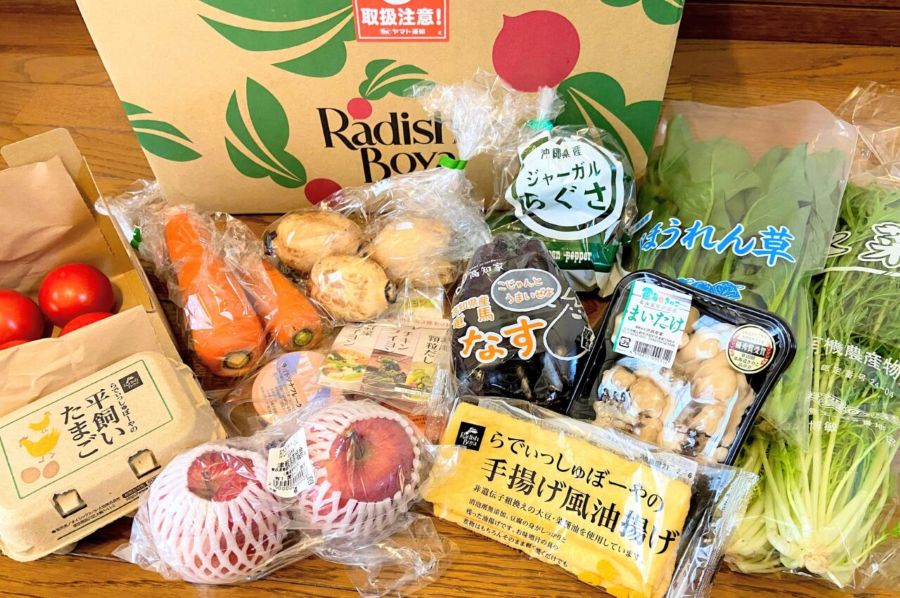 らでぃっしゅぼーやのお試しセット